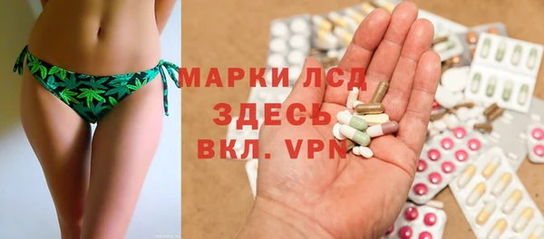 прущие грибы Киренск