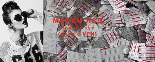 прущие грибы Киренск