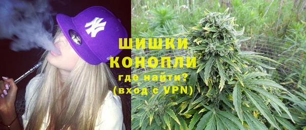 прущие грибы Киренск