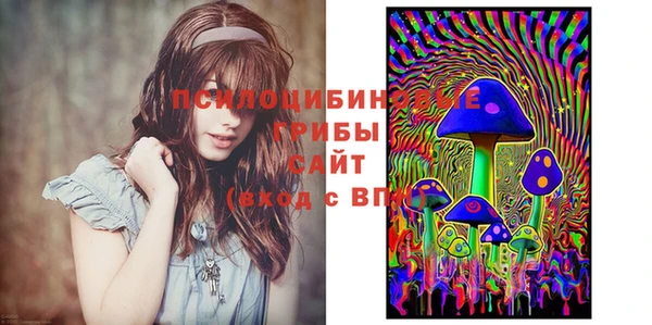 прущая мука Кинешма